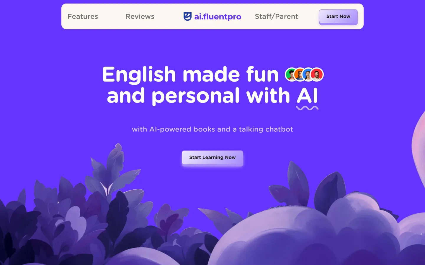 Fluent Pro website