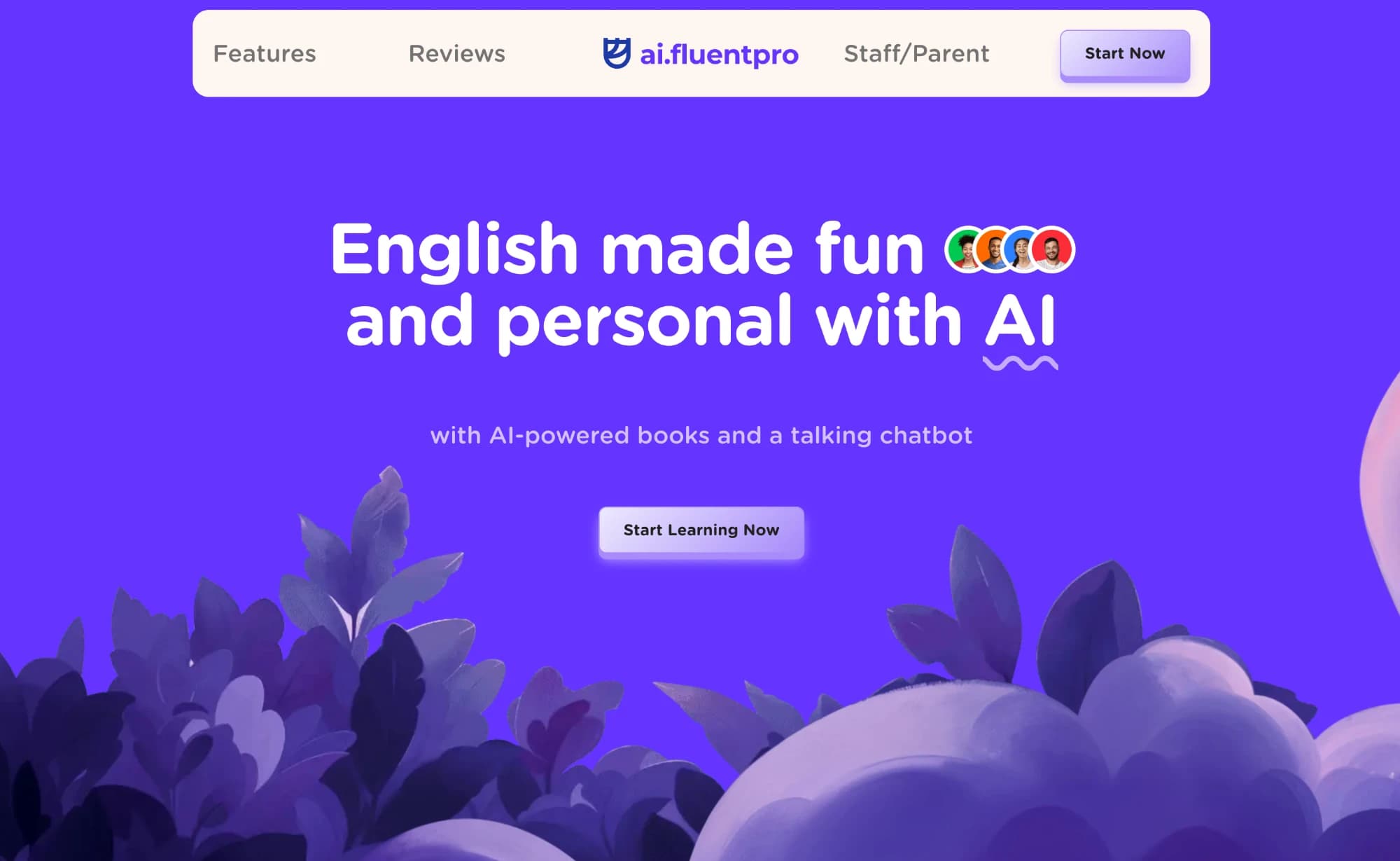 Fluent Pro website